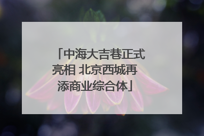 中海大吉巷正式亮相 北京西城再添商业综合体