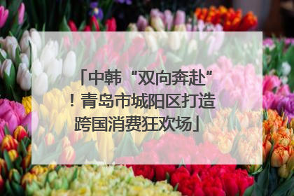 中韩“双向奔赴”！青岛市城阳区打造跨国消费狂欢场