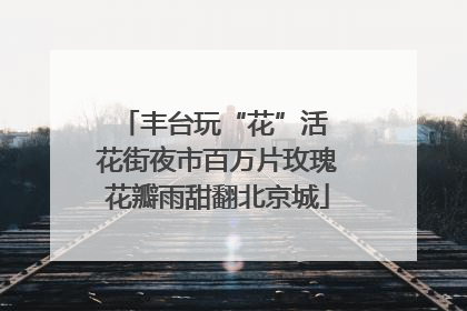 丰台玩“花”活 花街夜市百万片玫瑰花瓣雨甜翻北京城