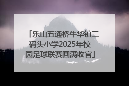 乐山五通桥牛华镇二码头小学2025年校园足球联赛圆满收官