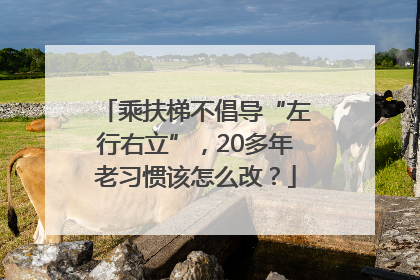 乘扶梯不倡导“左行右立”，20多年老习惯该怎么改？