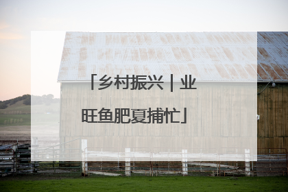 乡村振兴｜业旺鱼肥夏捕忙