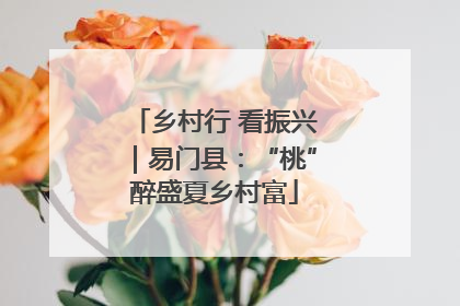 乡村行 看振兴｜易门县：“桃”醉盛夏乡村富