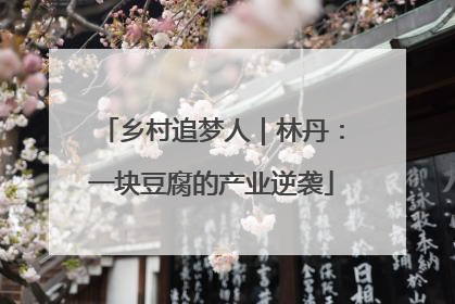 乡村追梦人｜林丹：一块豆腐的产业逆袭