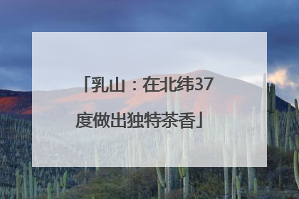 乳山：在北纬37度做出独特茶香