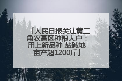 人民日报关注黄三角农高区种粮大户：用上新品种 盐碱地亩产超1200斤