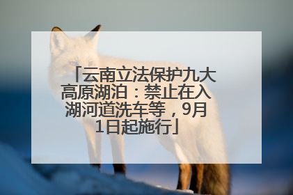 云南立法保护九大高原湖泊：禁止在入湖河道洗车等，9月1日起施行