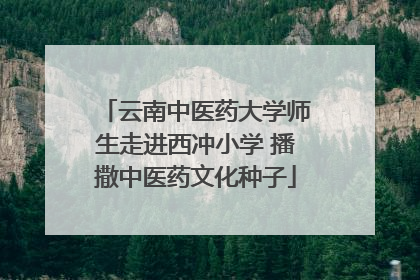 云南中医药大学师生走进西冲小学 播撒中医药文化种子