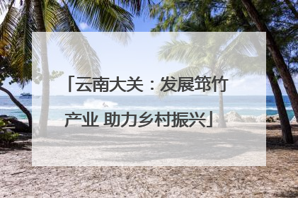 云南大关：发展筇竹产业 助力乡村振兴