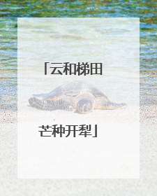 云和梯田 芒种开犁