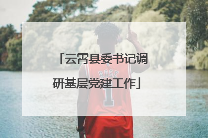 云霄县委书记调研基层党建工作