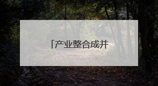 产业整合成并购重组主旋律