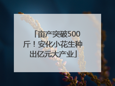 亩产突破500斤！安化小花生种出亿元大产业