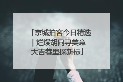 京城拍客今日精选｜烂缦胡同寻美意 大吉巷里探新标