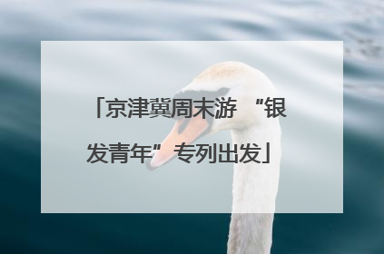 京津冀周末游 “银发青年”专列出发