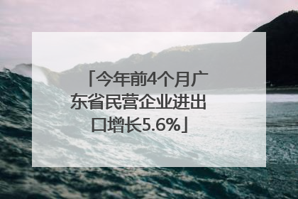 今年前4个月广东省民营企业进出口增长5.6%