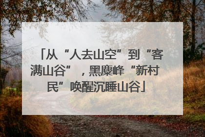 从“人去山空”到“客满山谷”，黑麋峰“新村民”唤醒沉睡山谷