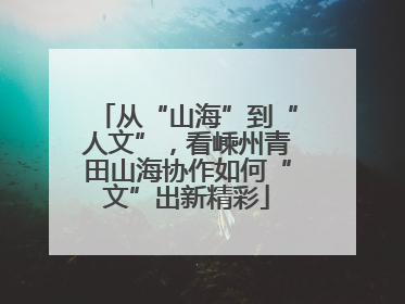 从“山海”到“人文”，看嵊州青田山海协作如何“文”出新精彩