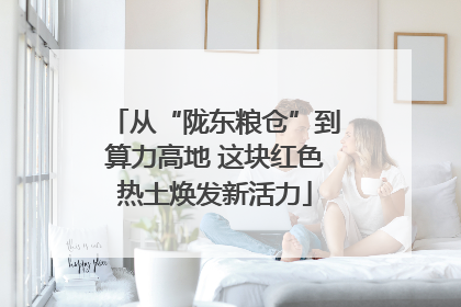 从“陇东粮仓”到算力高地 这块红色热土焕发新活力