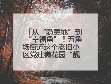 从“隐患地”到“幸福角”！五角场街道这个老旧小区党建微花园“靓”出幸福新图景