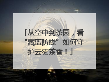 从空中到茶园，看“藏蓝防线”如何守护云雾茶香！