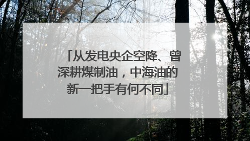 从发电央企空降、曾深耕煤制油，中海油的新一把手有何不同