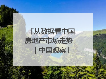 从数据看中国房地产市场走势｜中国观察