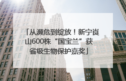 从濒危到绽放！新宁崀山600株“国宝兰”获省级生物保护嘉奖
