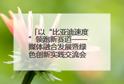 以“比亚迪速度”领跑新赛道——媒体融合发展暨绿色创新实践交流会首站走进比亚迪