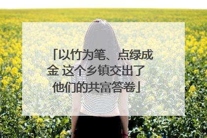 以竹为笔、点绿成金 这个乡镇交出了他们的共富答卷