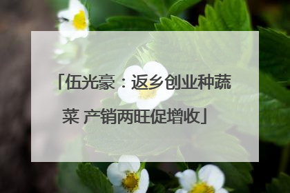 伍光豪：返乡创业种蔬菜 产销两旺促增收