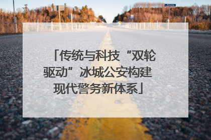 传统与科技“双轮驱动”冰城公安构建现代警务新体系