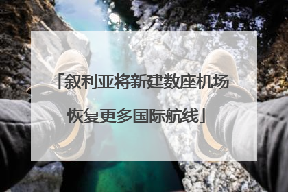 叙利亚将新建数座机场 恢复更多国际航线