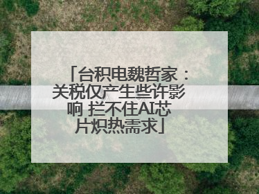 台积电魏哲家：关税仅产生些许影响 拦不住AI芯片炽热需求