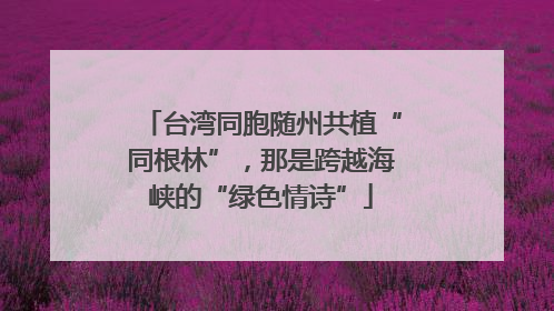 台湾同胞随州共植“同根林”，那是跨越海峡的“绿色情诗”