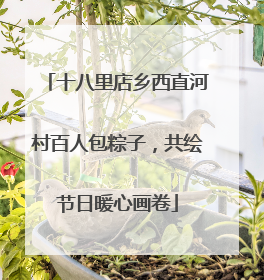 十八里店乡西直河村百人包粽子，共绘节日暖心画卷