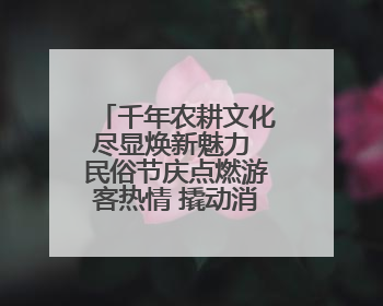 千年农耕文化尽显焕新魅力 民俗节庆点燃游客热情 撬动消费热潮
