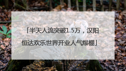 半天人流突破1.5万，汉阳恒达欢乐世界开业人气爆棚
