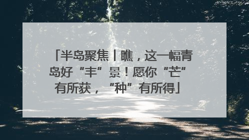 半岛聚焦丨瞧，这一幅青岛好“丰”景！愿你“芒”有所获，“种”有所得