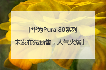 华为Pura 80系列未发布先预售，人气火爆