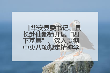 华安县委书记、县长赴仙都镇开展“四下基层”、深入贯彻中央八项规定精神学习教育工作调研