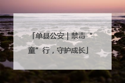 单县公安｜禁毒“童”行，守护成长
