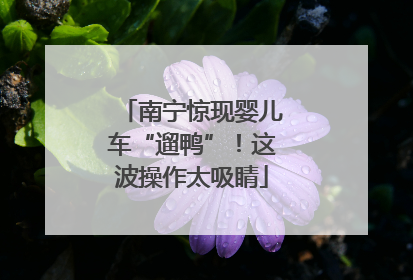 南宁惊现婴儿车“遛鸭”！这波操作太吸睛