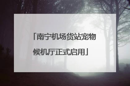 南宁机场货站宠物候机厅正式启用