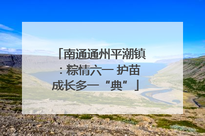 南通通州平潮镇：粽情六一 护苗成长多一“典”