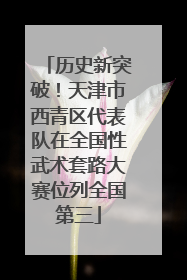 历史新突破！天津市西青区代表队在全国性武术套路大赛位列全国第三