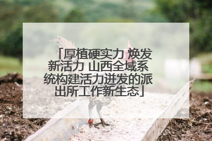 厚植硬实力 焕发新活力 山西全域系统构建活力迸发的派出所工作新生态
