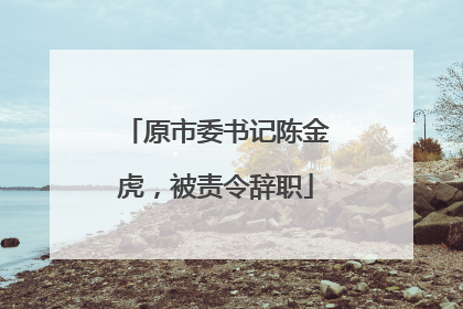 原市委书记陈金虎，被责令辞职