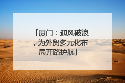厦门：迎风破浪，为外贸多元化布局开路护航