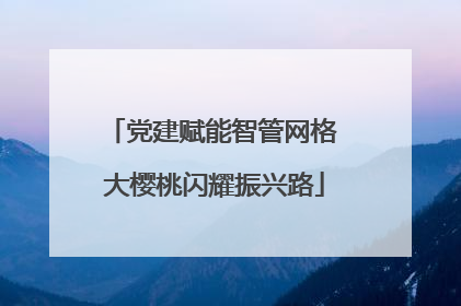 党建赋能智管网格 大樱桃闪耀振兴路